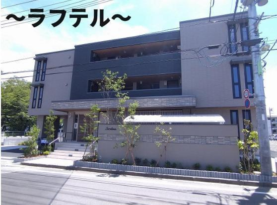 セルディーナ
