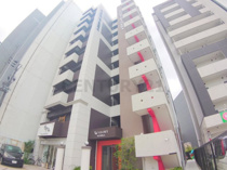 GLORYKISERA(グローリーキセラ)の画像