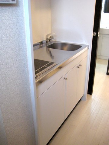 レオネクストセレッサⅡのキッチン