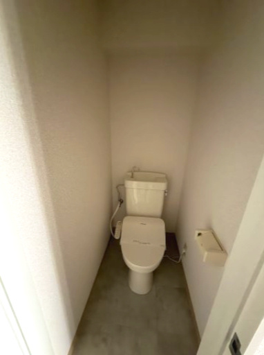 メゾン・ド・プランタンのトイレ|落ち着いた色調のトイレです
