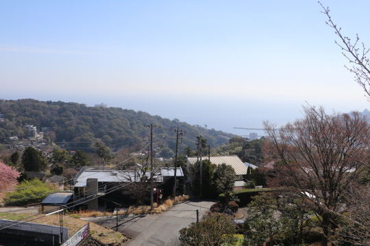 熱海市　西熱海別荘地の展望