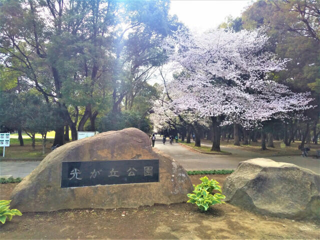 光が丘公園まで550m