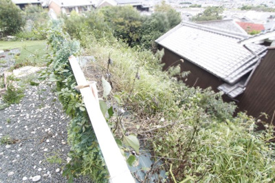 【庭】 | 兵家７８８-１戸建 | お庭の付いた物件です