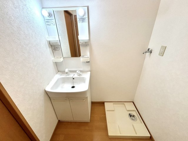 ビッグヴィレッジBの独立洗面台