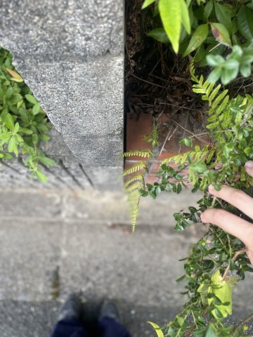 大津市和邇高城72坪売地のその他|境界