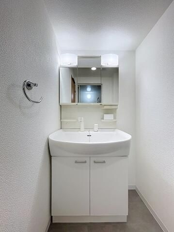 スカイコートヌーベル入谷の洗面所