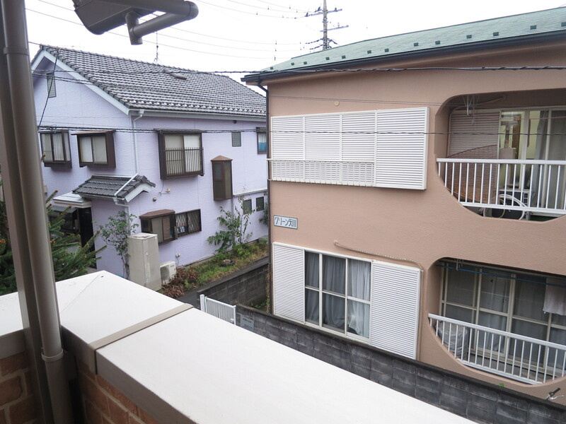 グリーングローブの展望
