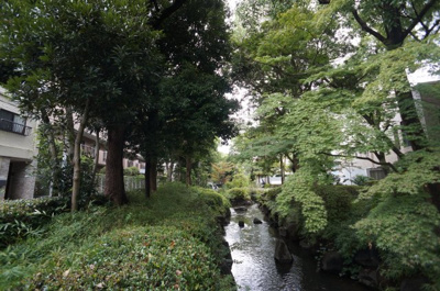 【周辺】 | ナイスステージ新小岩親水公園 | 目の前にある親水緑道です。