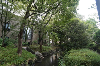 【周辺】 | ナイスステージ新小岩親水公園 | 目の前にある親水緑道です。