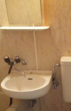 大和市南林間２丁目の賃貸マンションの洗面所