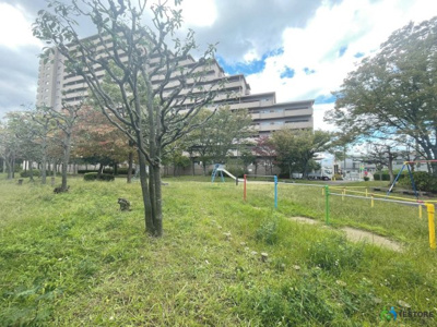【庭】 | メゾンドール堺 | お部屋を広く利用するために必須なクローゼットあります♪もちろんお荷物を収納されても良しの勝手の良いクローゼットは嬉しいですね♪