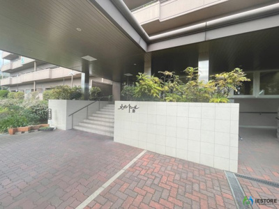 【エントランス】 | メゾンドール堺 | クロス・床材リフォーム済！綺麗な壁や床で室内が明るくなりますね！爽やかな気分でお過ごしいただけますよ♪