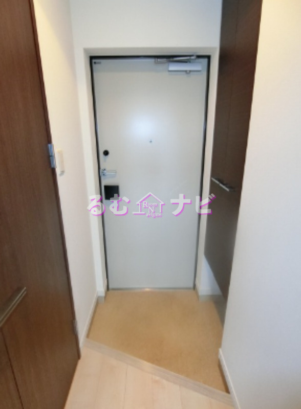 福岡市南区野間１丁目の賃貸マンションの玄関