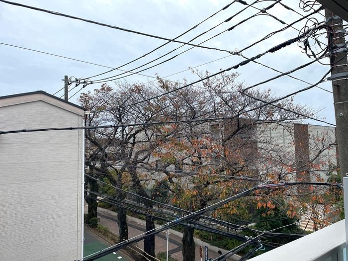 エクセリア上鷺宮Ⅱの展望