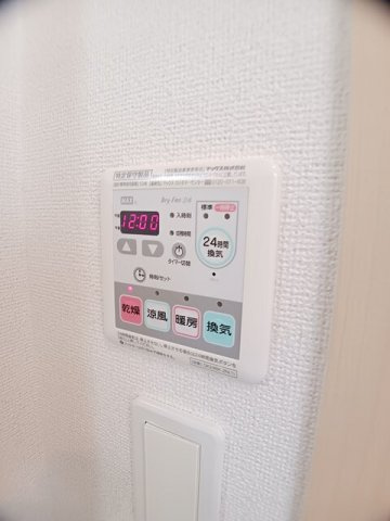 セリナ　Ａのその他