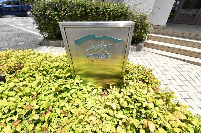 他