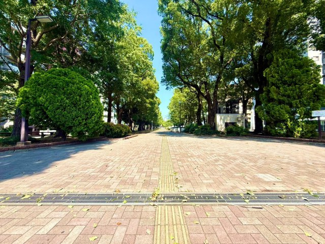 クリオ大通り公園参番館の周辺|四季の彩りを身近に感じる、緑豊かな住環境。