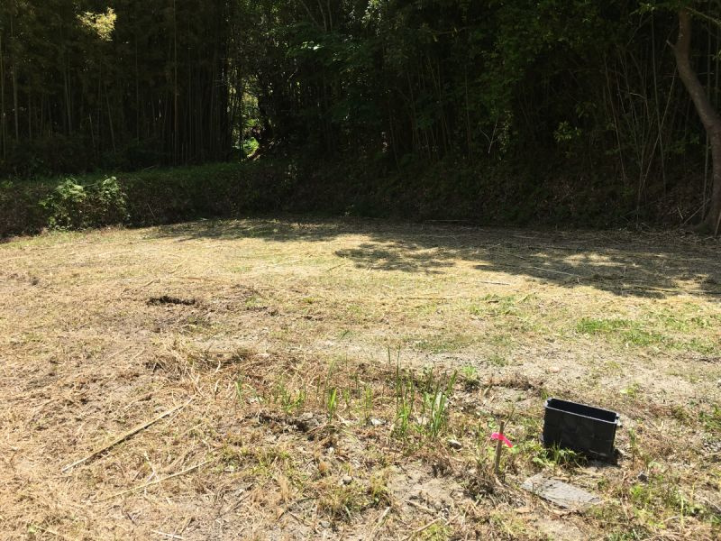 館山市沼　売地の外観|■夏は近隣を気にせず思いっきり虫取りやプール、BBQが楽しめる！