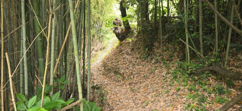館山市沼　売地の周辺|■山探索もできます♪