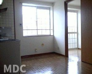 板野郡藍住町住吉字神蔵のアパートの内装