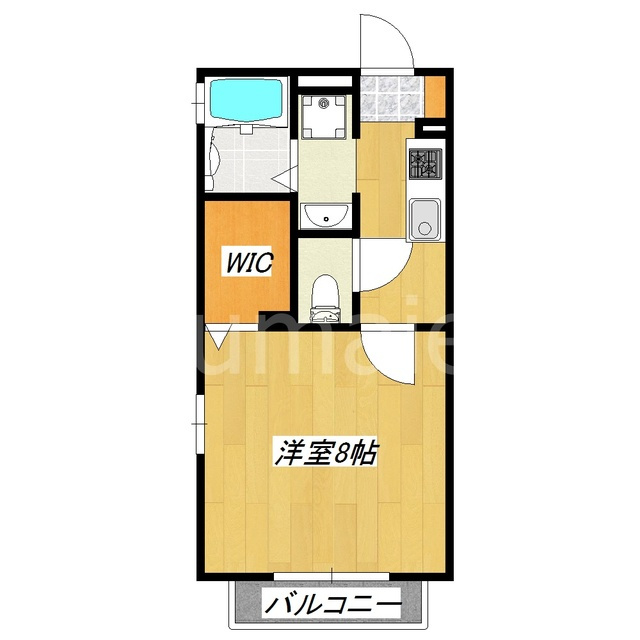 ミズカラフィットの間取り|間取りです☆
