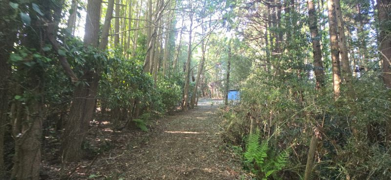 香取市西田部　売地の外観|■敷地内写真