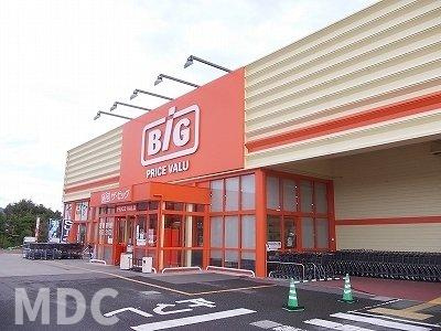 サンハイツの周辺|ザ・ビッグ上板店様まで1100m