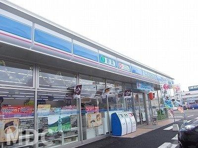 サンハイツの周辺|ローソン上板椎本店様まで1300m