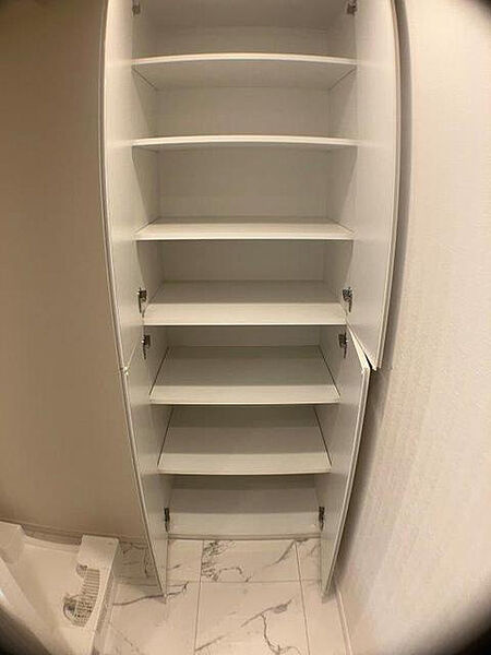 シティハウス巣鴨の収納