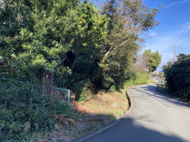 下田市　柿崎