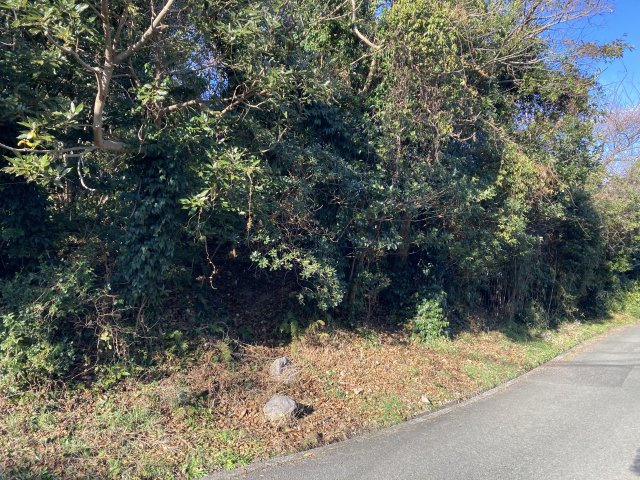 下田市　柿崎の外観