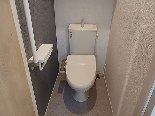 ガゾンのトイレ