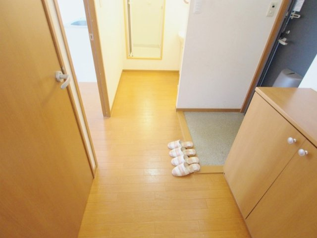 グリーンビュー中須Aの玄関
