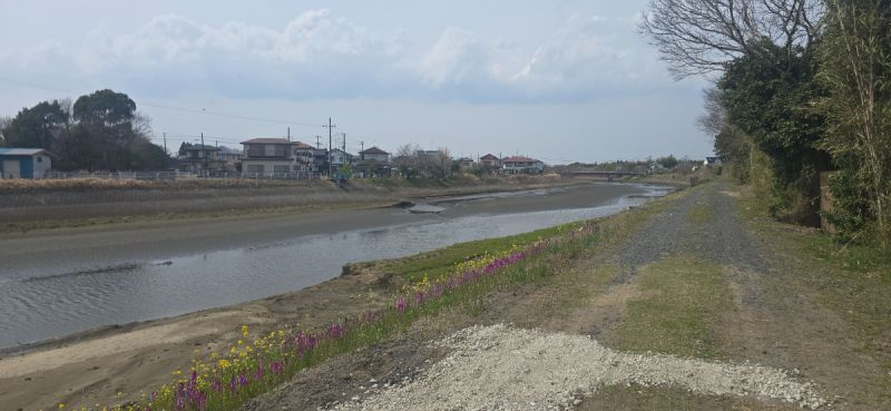 山武郡九十九里町西野　中古戸建の展望|■真亀川沿いにあるので毎日のお散歩にピッタリ