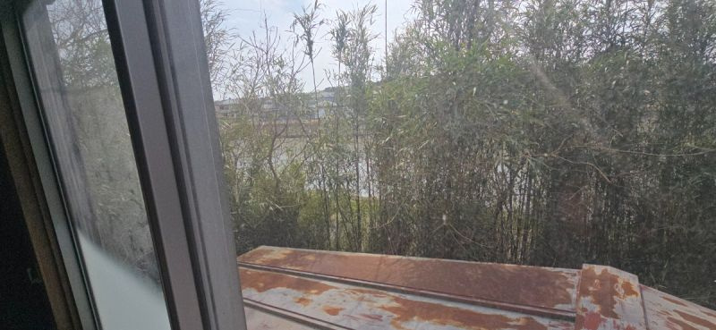 山武郡九十九里町西野　中古戸建の展望|■目の前には川が流れていて、室内からも望めます