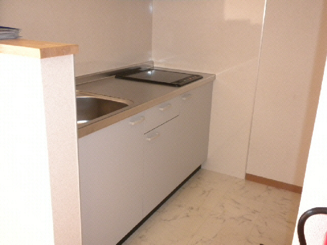OakⅧのキッチン