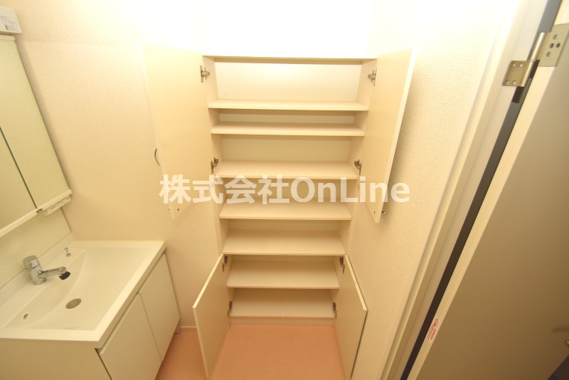 グレイス奥林A棟の独立洗面台