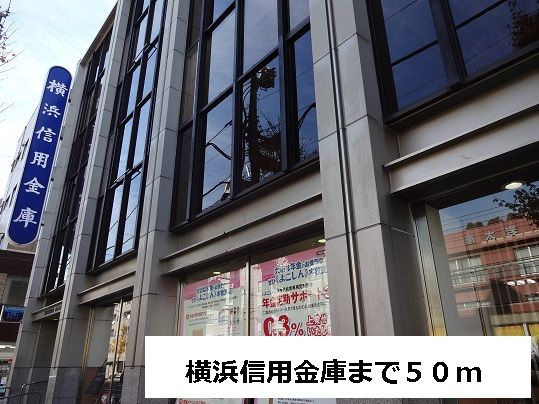 アムールのその他