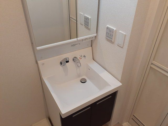 アムールの洗面所