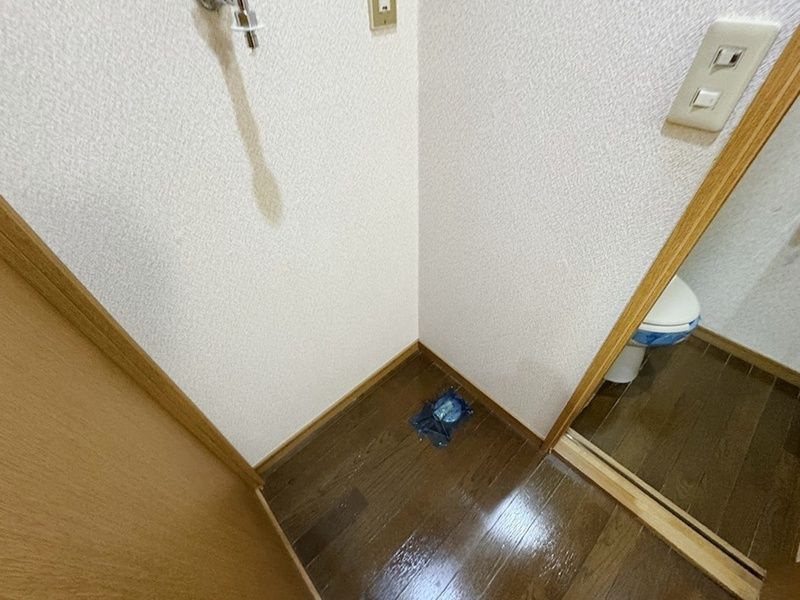 三郷市戸ケ崎１丁目のアパートのその他