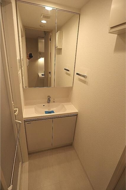 ＤＩＰＳ十条仲原ＷＥＳＴの洗面所