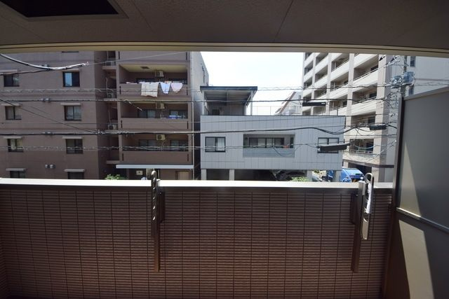 セレンディピティの展望