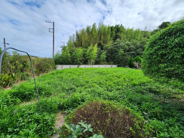 【庭】の画像