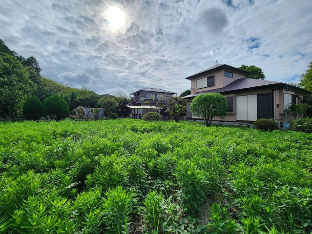 【庭】の画像