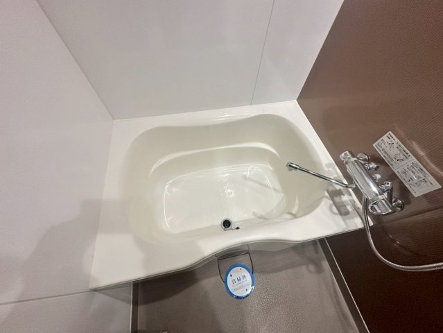 ISM谷町六丁目の浴室