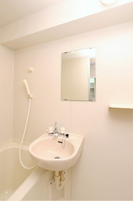 【洗面所】 | Sanctuary Amasia | 参考写真（同物件別部屋）
