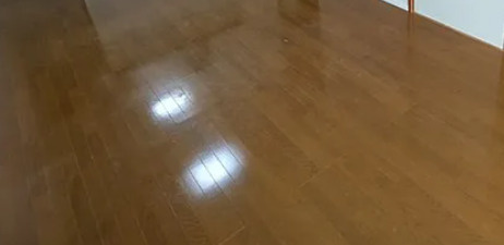 プラサ清華禎の居間・リビング