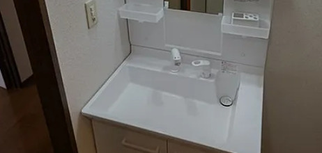 プラサ清華禎の洗面所