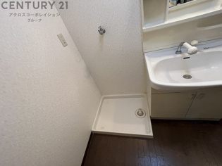 アクティモリノブのその他