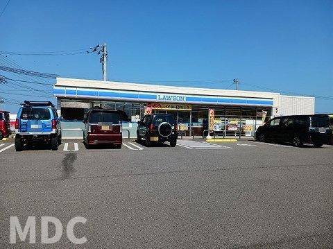 ハッピーメゾン鳴門　Ａの周辺|ローソン阿波踊り空港口店様まで1100m